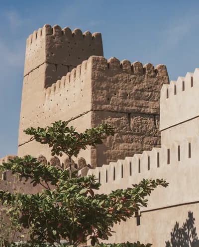 The Family Office - Growing And Preserving Wealth