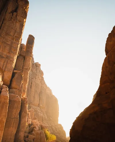 Discover your risk profile