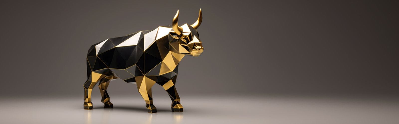 after the bull market 1600x500