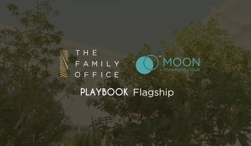 Unleashing Financial Freedom_Playbook_Website_Moon